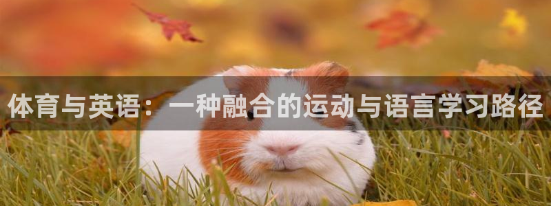 火爆体育app官方下载：体育与英语：一种融合的运动与语言学习路径