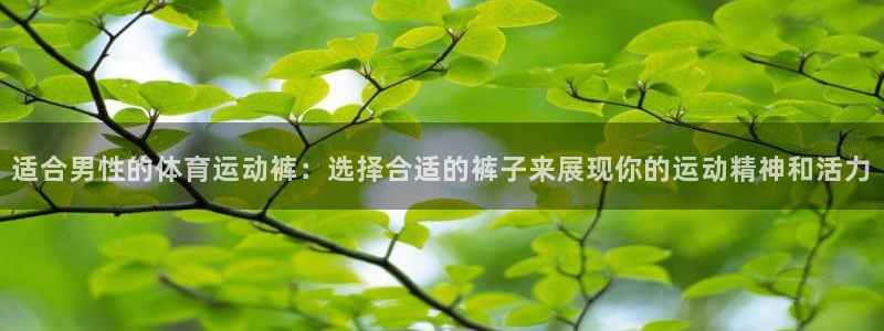 火爆体育在线直播：适合男性的体育运动裤：选择合适的裤子来展现你的运动精神和活力