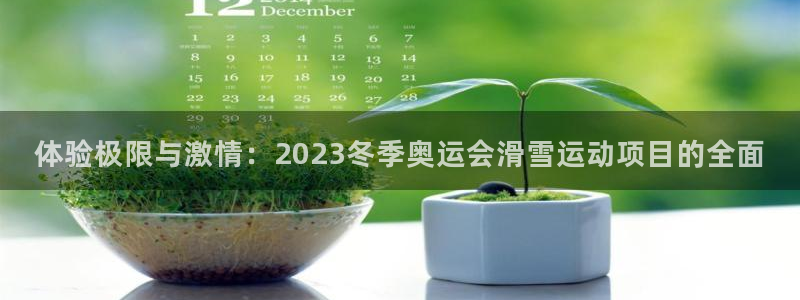 火爆体育在线直播：体验极限与激情：2023冬季奥运会滑雪运动项目的全面