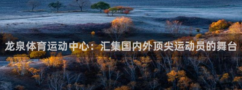 火爆体育赛事：龙泉体育运动中心：汇集国内外顶尖运动员的舞台
