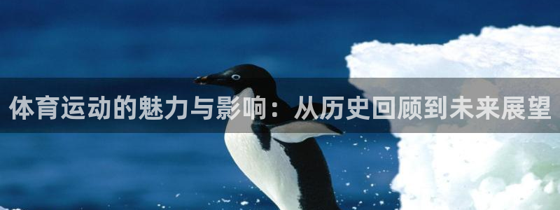 火爆体育app下载入口：体育运动的魅力与影响：从历史回顾到未来展望