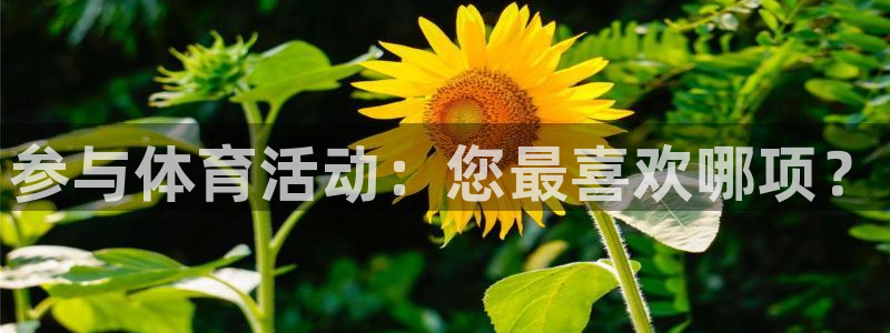 火爆体育app官方下载安装最新版本：参与体育活动：您最喜欢哪项？