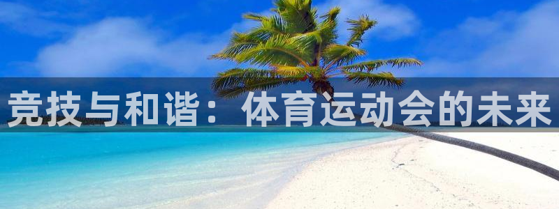 火爆体育APP下载：竞技与和谐：体育运动会的未来